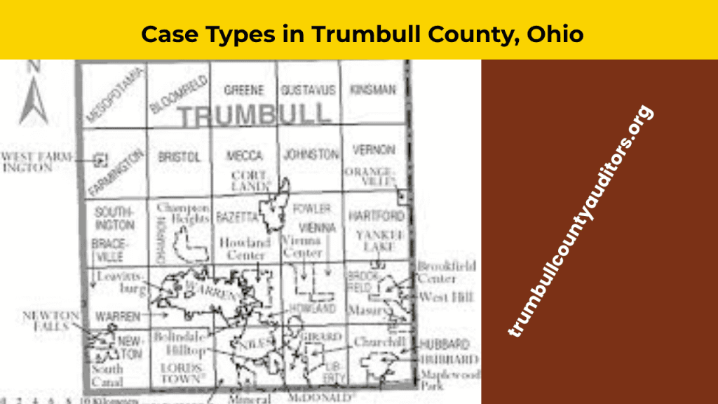 Case Types in Trumbull County, Ohio displayed with clear categories for criminal, civil, domestic, probate, and traffic cases.