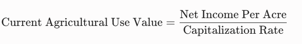 The net capitalization formula is structured as follows: